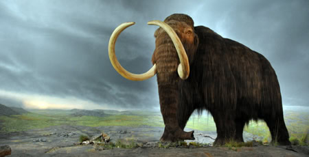 alaska_woolly_mammoth