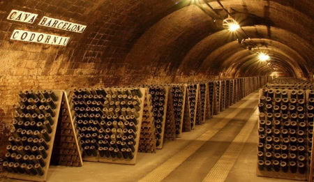 Traditional method Cava fills the cellars at Codorniu