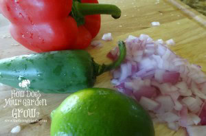 Salsa Ingredients