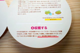 育てるサラダ