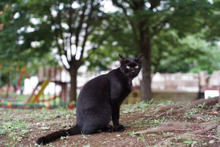 FUJINON 50mm F1.4