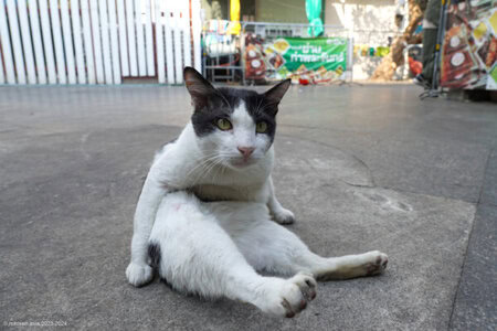 Nong taprachan
