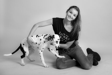 Haustier Shooting