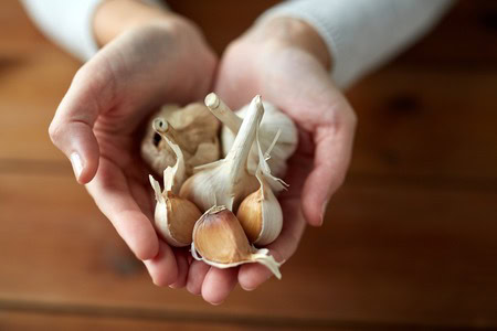Garlic