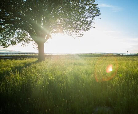 Kreowanie rzeczywistości