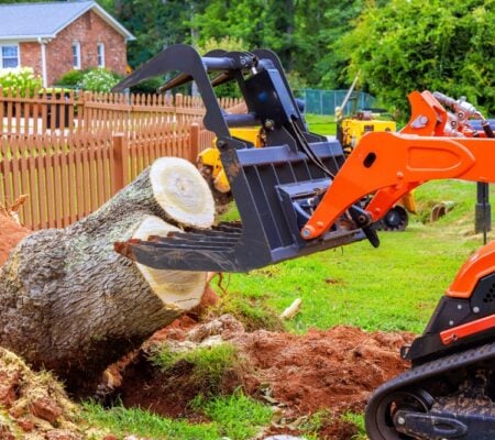 Best Way to Remove a Tree Stump: Effective Stump Removal Methods 2