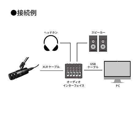 Audio-Technica AT2040 Hypercardioid Dynamic Podcast Microphone - Image 4