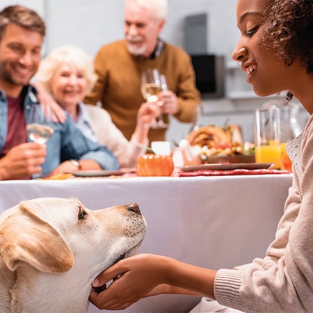 17698 intro images 1