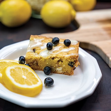17782 Lemon Blueberry Bars intro