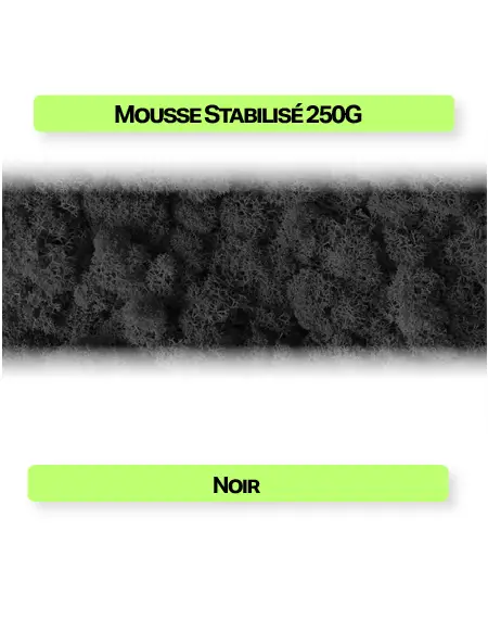 mousse stabilisée noir 250g texture naturelle