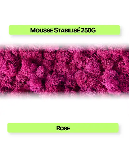 mousse stabilisée rose synthétique 250 g pour enseigne intérieure