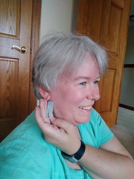 Driftless shop hop - gauge earrings
