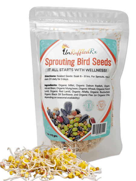 Can Bird Seeds Sprout