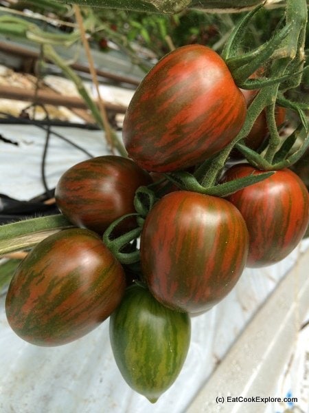 the tomato stall 