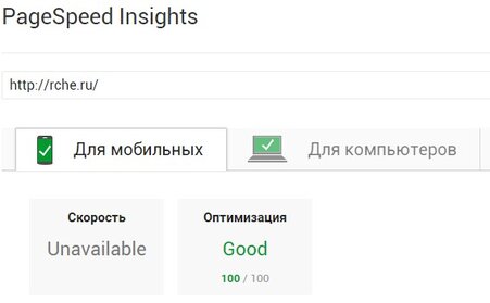 PageSpeed Insights оценка 100/100