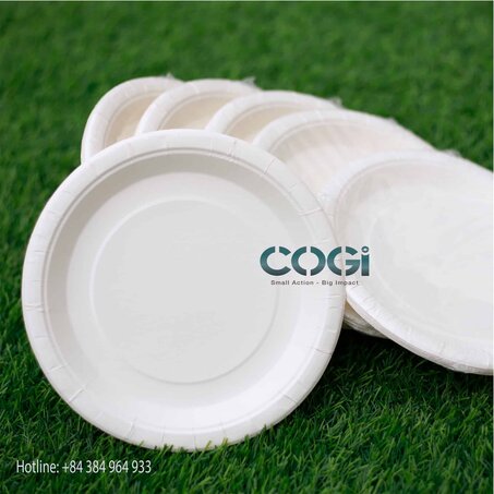 ĐĨA GIẤY QUẬN 3 – ĐĨA GIẤY CHẤT LƯỢNG CAO 2 dia giay