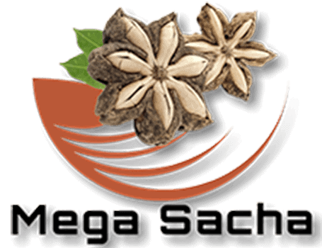 MEGA SACHA