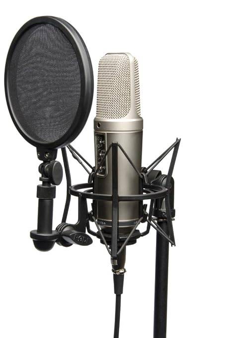 Rode NT2-A Large Diaphragm 3 Polar Pattern Studio Condenser Omnidirectional, Unidirectional XLR Microphone (Metallic)
