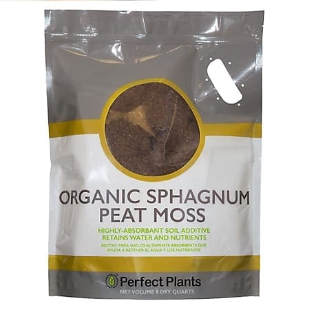 Good Reasons To Grow Sphagnum Moss-Organic Sphagnum Peat Moss