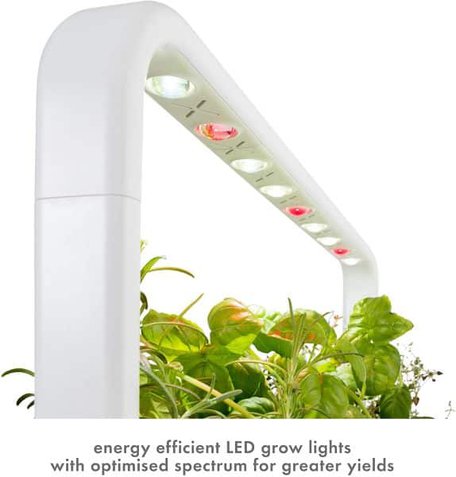 click an dgrow lights click and grow lights