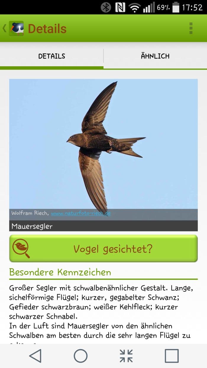 Sehr schöne Ergebnisseiten in der Vogel-App