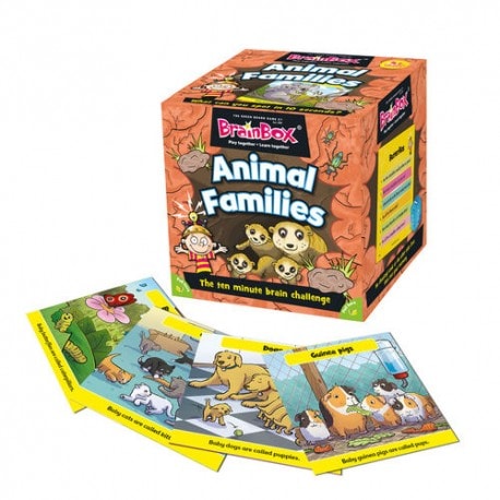 Brainbox Animal Families