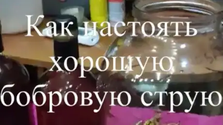 Как самому в домашних условиях приготовить настойку бобровой струи