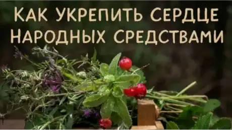 Народные средства для сердца и сосудов