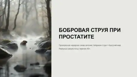 Применение бобровой струи при простатите