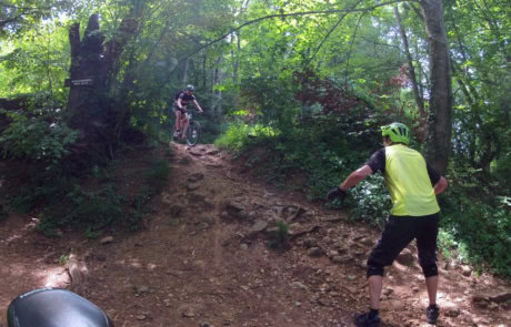 MTB Fahrtechnik Freiburg