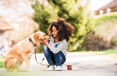 Pet Trusts