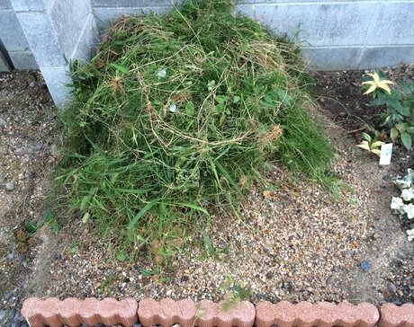 11さらに雑草をおく