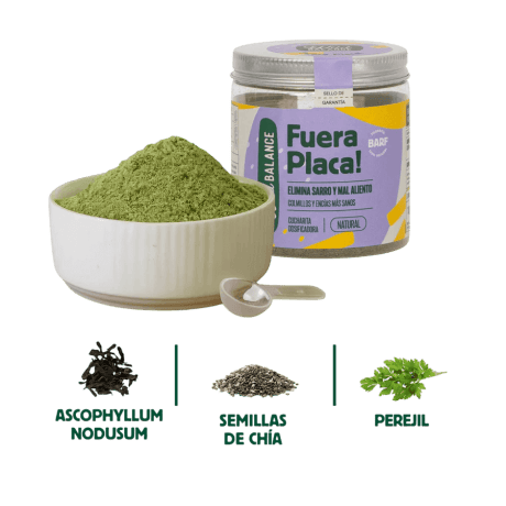 Beneficios y uso de Wild Balance Fuera Placa antisarro para perros y gatos