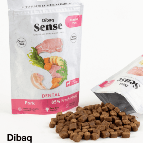Snack Cerdo Dental para perro, detalle
