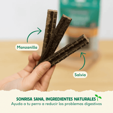 Stick Dental de Conejo Est&oacute;magos Sensibles para perro, detalle