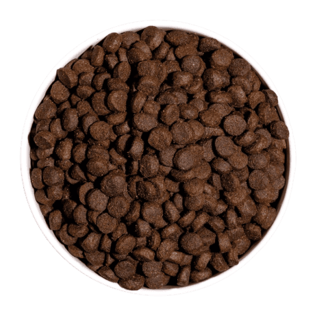 Prime Mini Grain Free Cordero para perro, detalle
