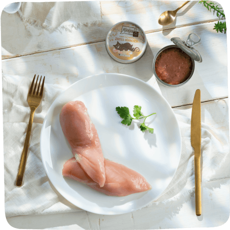 Filetes de Pollo MjAMjAM para gato, detalle