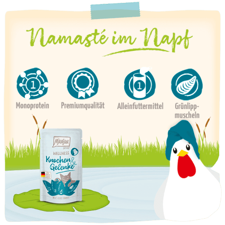 Wellness Pollo Huesos y articulaciones MjAMjAM para gato, detalle