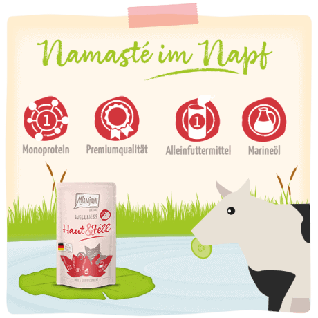 Wellness Ternera Piel y Pelaje MjAMjAM para gato, detalle
