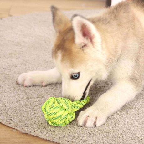 Tirador con pelota dental de cuerda XT-DOG () para perro, detalle