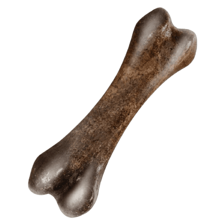 Zeus Nosh Strong Hueso mordedor Con Aroma Ternera y Queso Para Perros