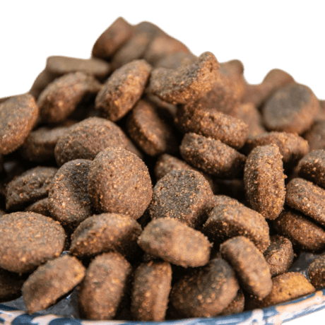 Pollo Grain Free para perro, detalle