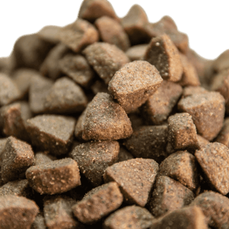 Pescado Salmón y Atún Grain Free para perro, detalle