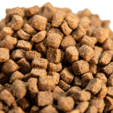 Esterilizados Pollo, Salmón y Trucha Grain Free para gato, detalle