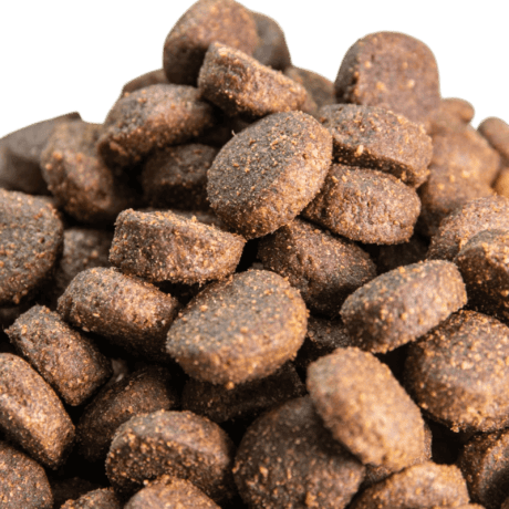 Cordero Grain Free para perro, detalle