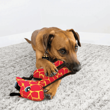 Peluche jirafa para perro Kong Ballistic, detalle