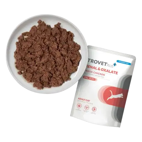 Textura del alimento húmedo Trovet Plus Renal & Oxalate para gatos con pollo fresco, servido en plato