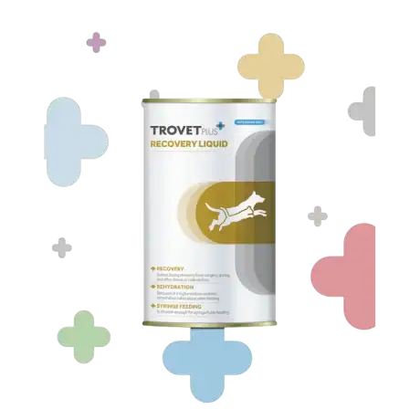 Trovet Plus Recovery Liquid: Alimento Dietético Húmedo de Recuperación para Perros y Gatos