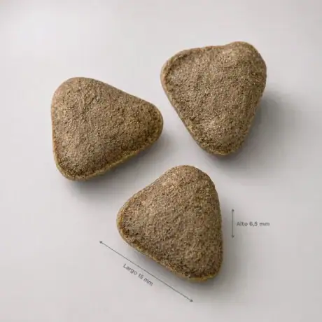 Pienso Amanova Grain Free de salmón para perros, detalle de la croqueta