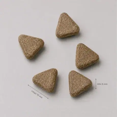 Pienso Amanova Puppy Grain Free de salmón para cachorros, detalle de la croqueta